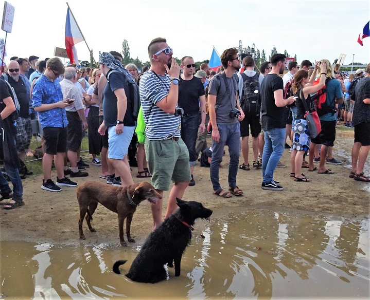 Obrázek #9 z 11