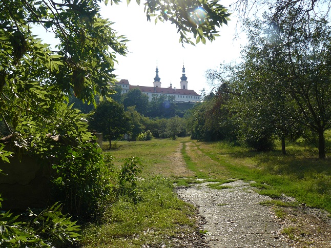 Obrázek #9 z 10