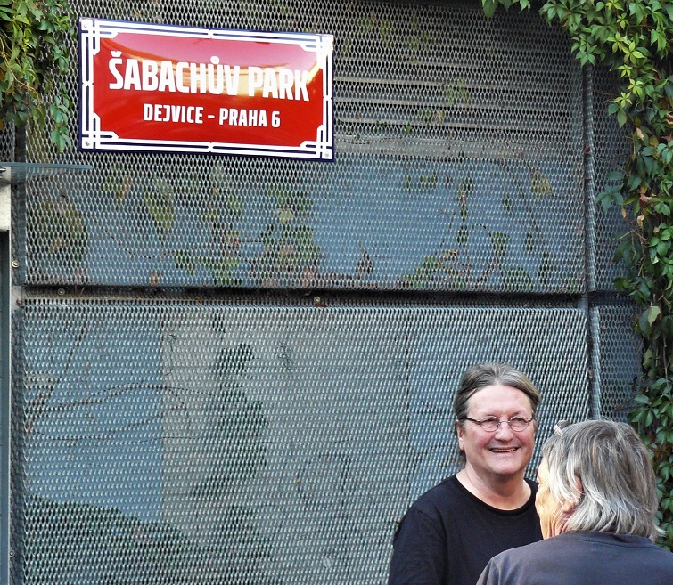 Obrázek #9 z 11