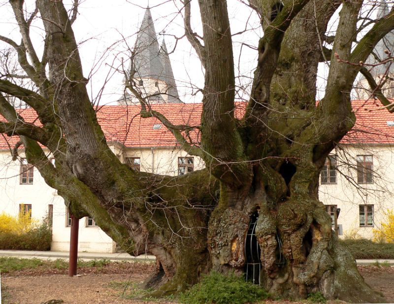 Obrázek #13 z 18