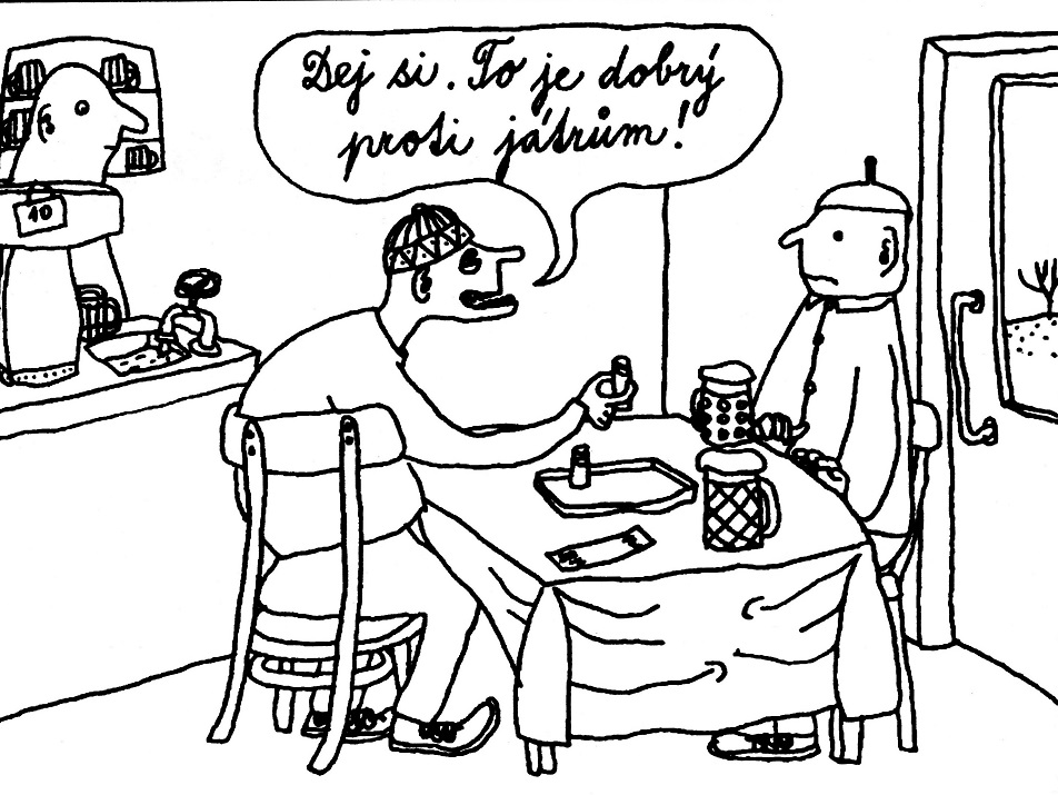 Obrázek #11 z 13