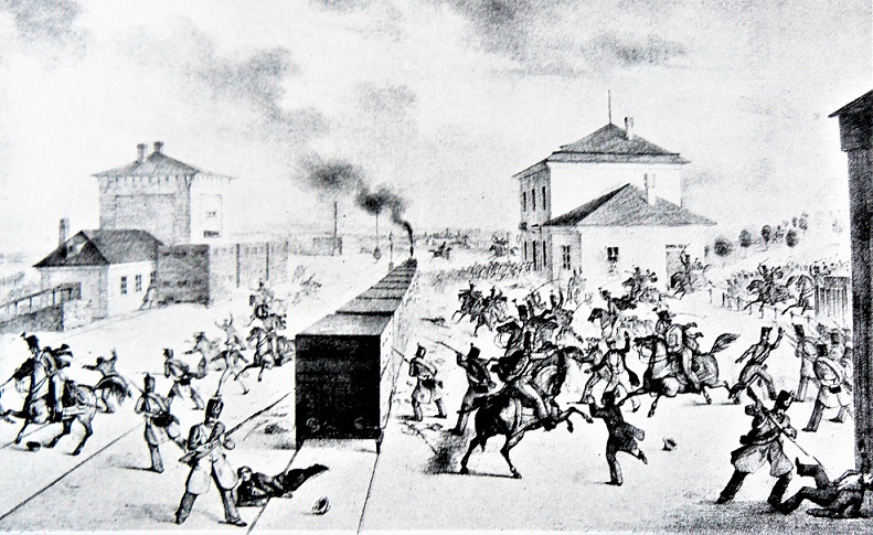 Obrázek #10 z 12