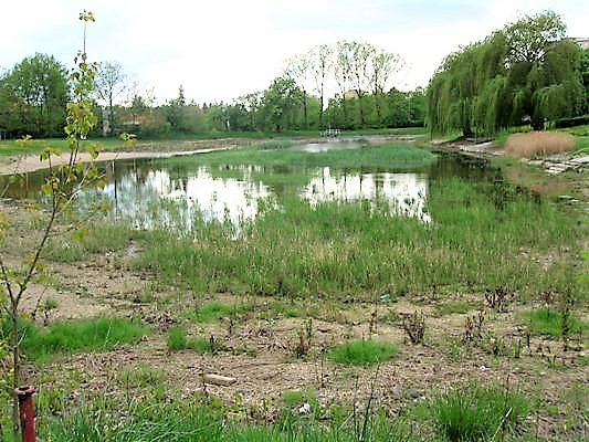 Obrázek #10 z 12
