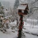 Štědrý den - KONICA MINOLTA DIGITAL CAMERA