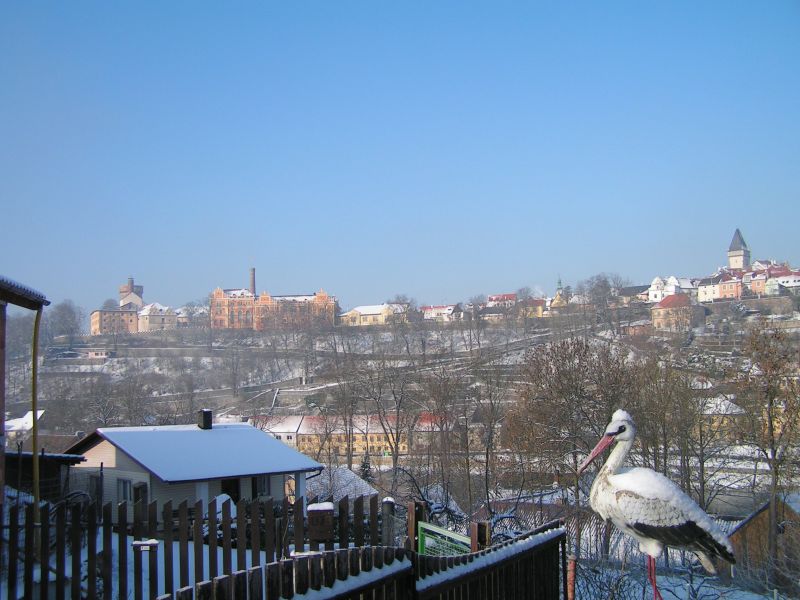Obrázek #15 z 22