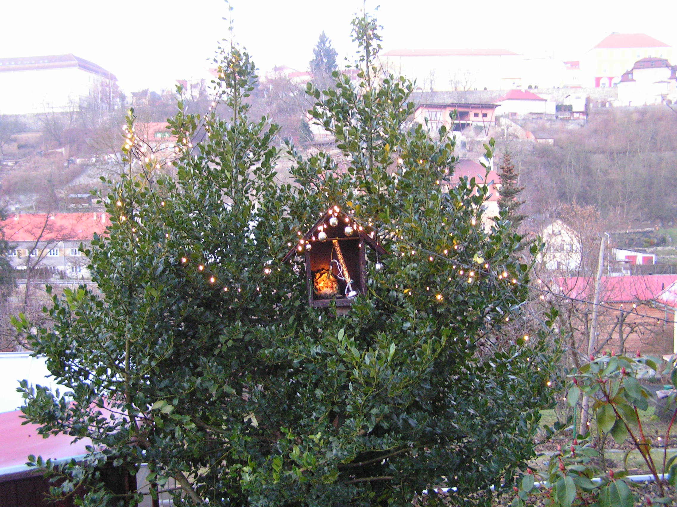 Obrázek #20 z 22