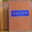 Alfred Brehm - Antikvariát knihkupectví Václav Beneš