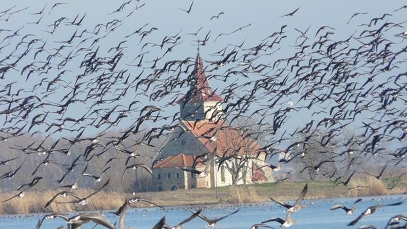 Obrázek #7 z 17