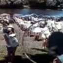 Baldur von Schirach a Hitlerjugend - Bez názvu – 22