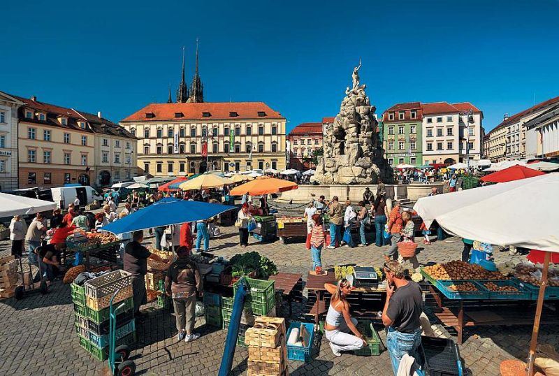 Obrázek #9 z 9
