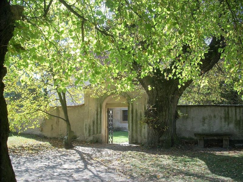 Obrázek #7 z 7