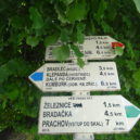 Železnice a zřícenina hradu Bradlec - DSC06144
