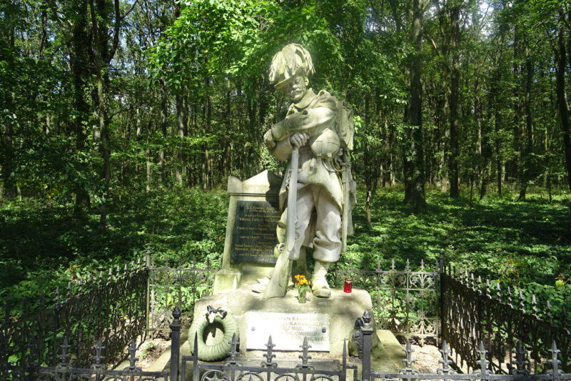 Obrázek #7 z 10