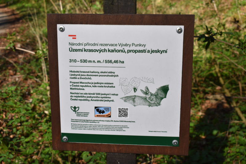 Obrázek #2 z 7