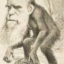 Charles Darwin - Darwinova karikatura