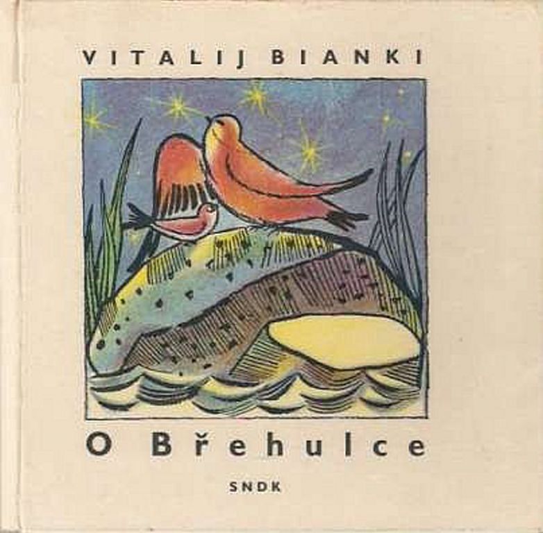 Obrázek #15 z 21