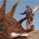Film Alamo - Davy Crockett – 6