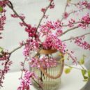 Aby barborky opravdu rozkvetly - Glass vase with branches of blooming tree flowers on table