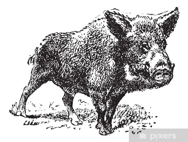 Obrázek #8 z 12