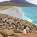 Okupace Falkland Argentinou - Falkklandské ostrovy – Lonely Planet