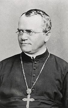 Obrázek #5 z 8