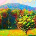 Objev LSD - Holistic Recovery from Addiction – WordPress
