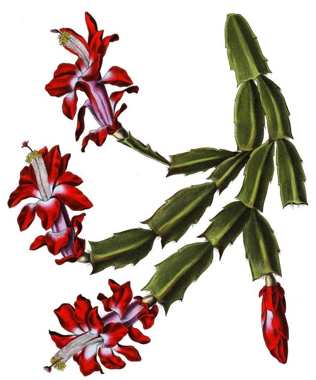 Obrázek #4 z 14