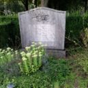 Hitlerův pilot - Hrob Hanse Baura – Find A Grave