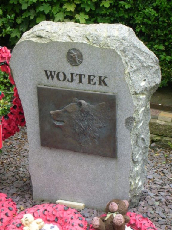 Obrázek #42 z 42