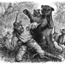 Jim Bridger - Hugo Glass napadený medvědicí roku 1823 – wikipedia