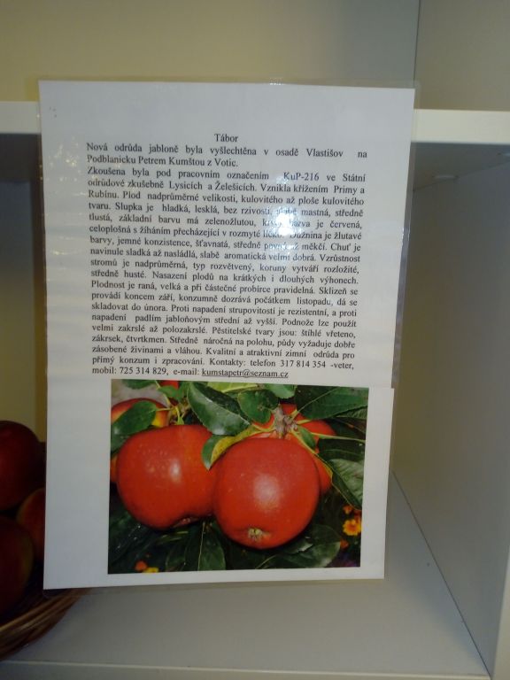 Obrázek #11 z 30