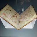Znovuotevření Národního muzea - IMG_20181126_132328
