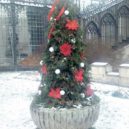 Advent na Hluboké - All-focus