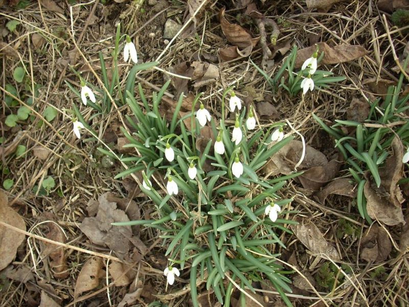 Obrázek #5 z 7