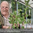 Starkl - Josef Starkl – rakouský podnikatel – The Apricity