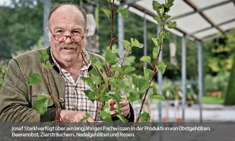 Obrázek #5 z 9