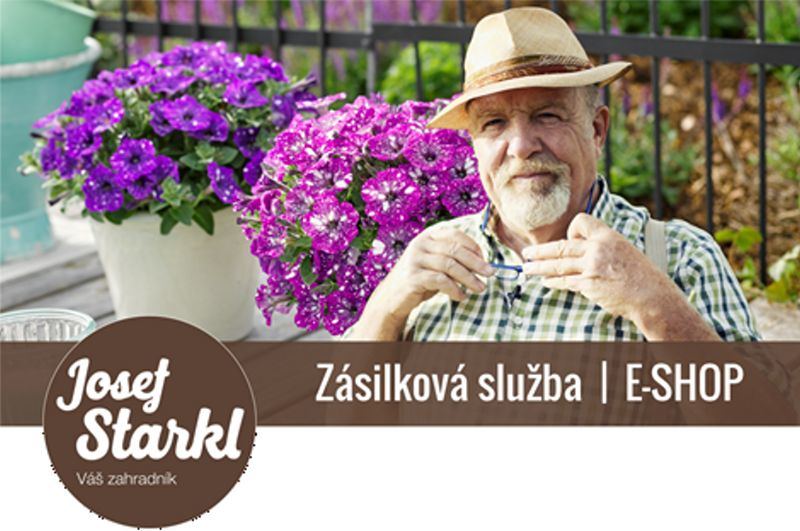 Obrázek #6 z 9