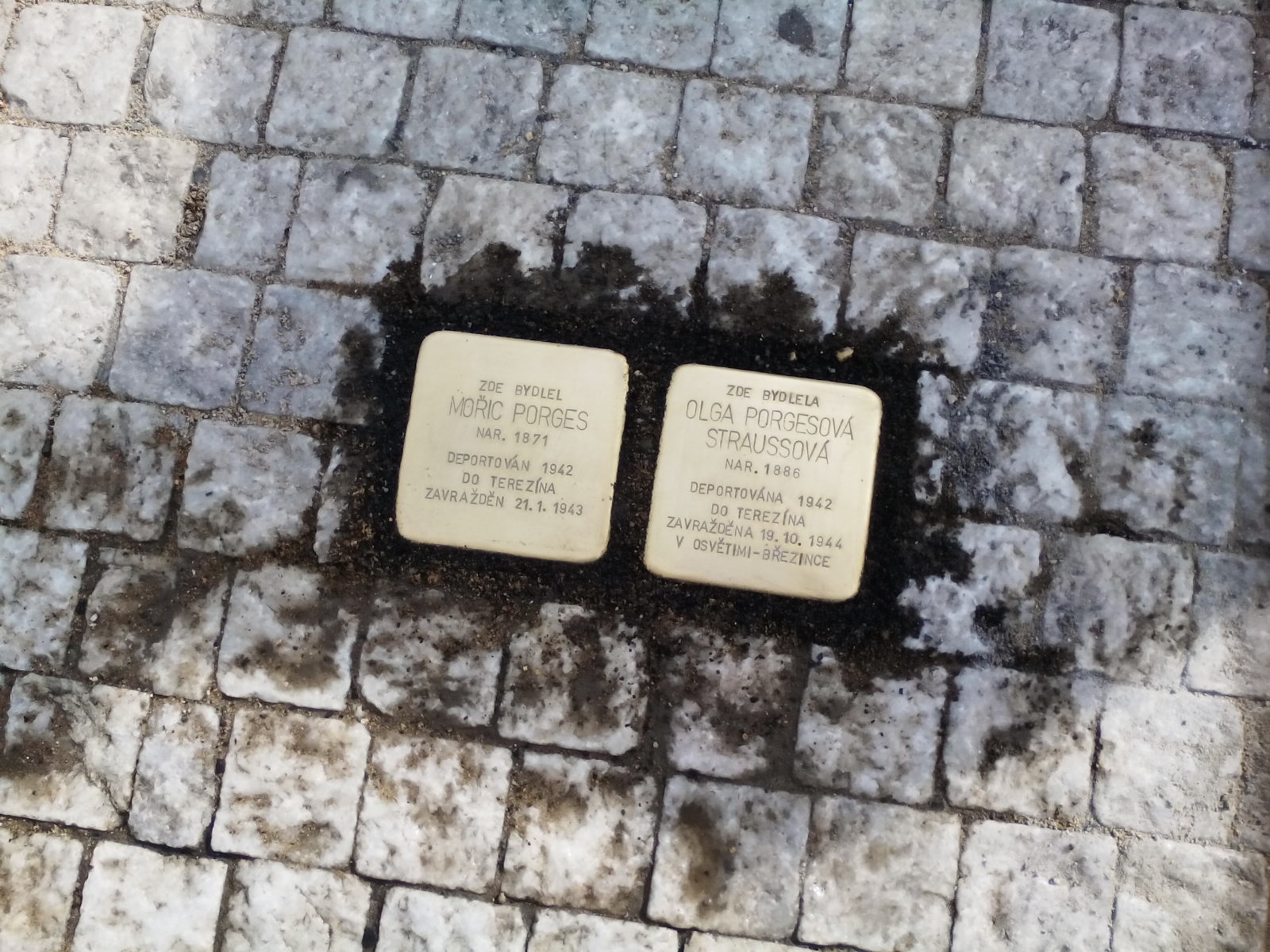 Obrázek #2 z 6