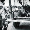 Američtí zajatci ve Vietnamu - Kapitán USA Charles Boyd si při dopadu na zem zranil nohu a je po svém zajetí odvážen na dvoukoláku – archiv Václava Pavlíka
