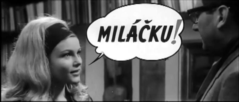 Obrázek #14 z 35