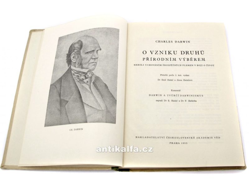 Obrázek #5 z 7