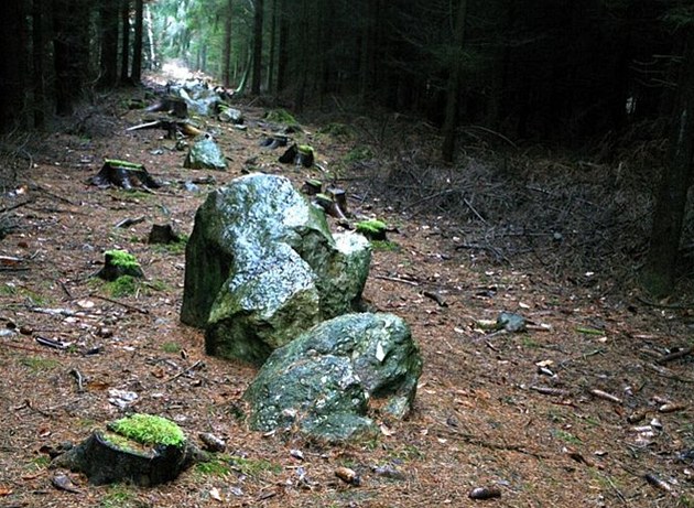 Obrázek #7 z 8