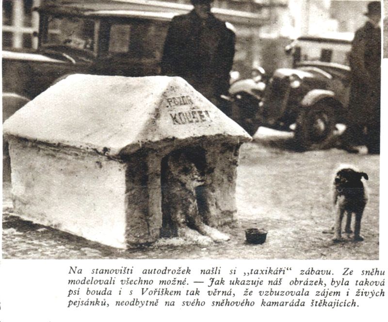 Obrázek #13 z 16