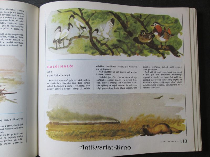Obrázek #9 z 21
