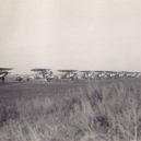 Rapallská smlouva 1922 - Letouny Fokker D.XIII, Letecká škola Lipeck 1928 – idnes