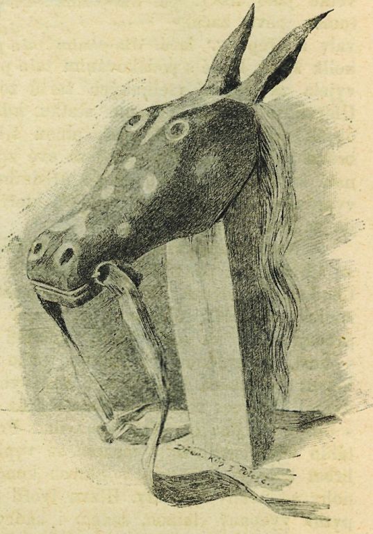 Obrázek #9 z 12