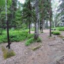 Gorkij - Masové hroby (Solovecký gulag) – wikipedie