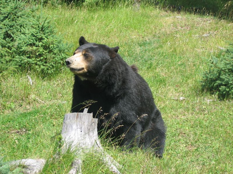 Obrázek #16 z 36