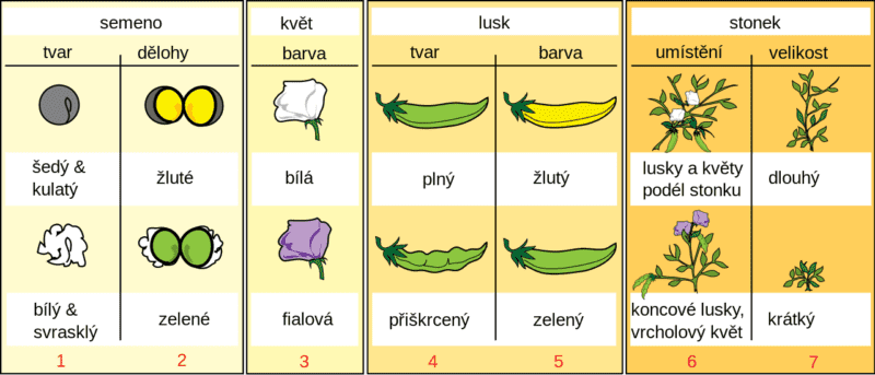 Obrázek #6 z 8