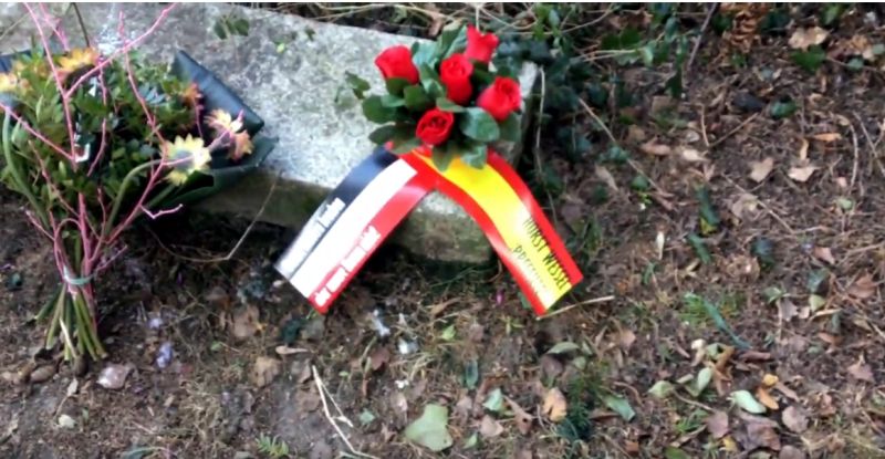 Obrázek #9 z 16